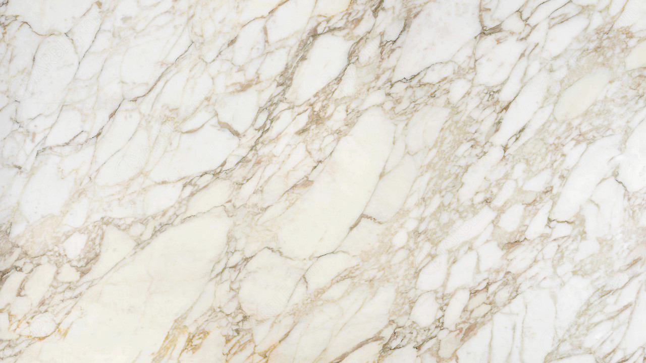 Calacatta Oro Marble