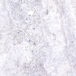  Silver Travertine